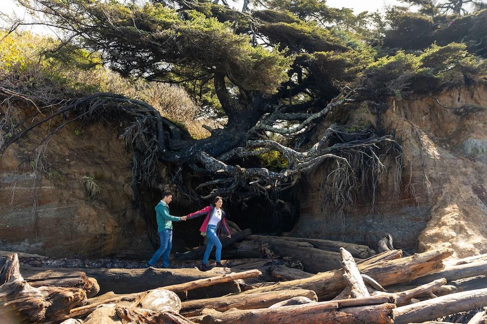Kalaloch Lodge Forks Exterior photo